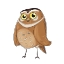 Picture of KIDS OWL