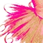 Picture of BRIGHT GOLD BALLET II