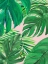 Picture of GREEN PALMS ON BLUSH I
