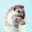 Picture of HEDGEHOG IN A CUP