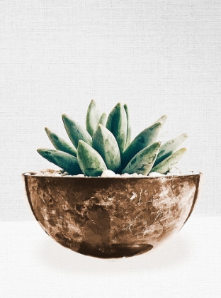 Picture of SUCCULENT IN GOLD POT II