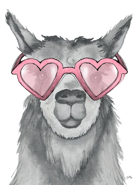 Picture of LLAMA WITH PINK SHADES