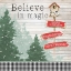Picture of BELIEVE IN HOLIDAY MAGIC I
