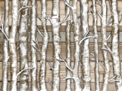 Picture of LIGHT BIRCH FOREST