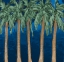 Picture of STATELY PALMS ON BLUE