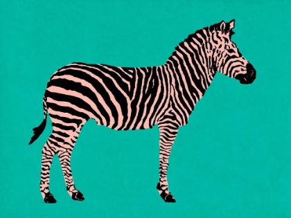 Picture of ZEBRA ON TEAL