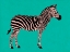 Picture of ZEBRA ON TEAL
