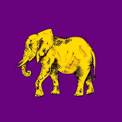 Picture of ELEPHANT ON PURPLE