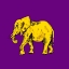 Picture of ELEPHANT ON PURPLE