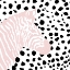 Picture of PINK ZEBRA ON DOTS