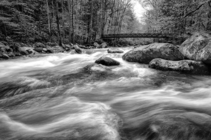 Picture of FLOW OF THE CREEK