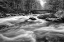 Picture of FLOW OF THE CREEK