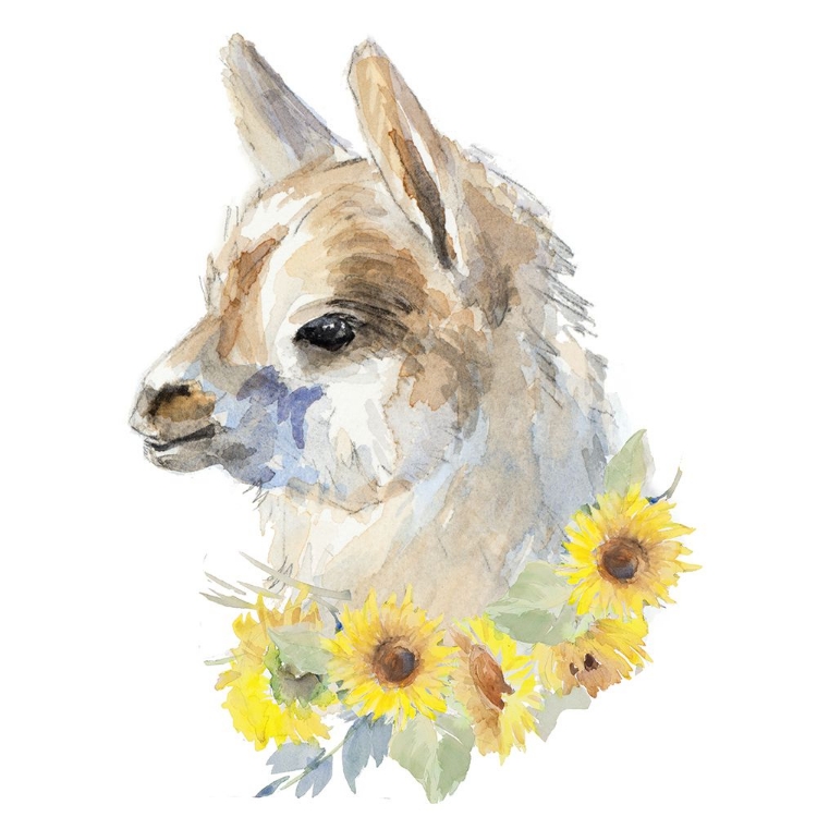 Picture of SUNFLOWER LLAMA I