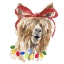 Picture of DECKED OUT LLAMA I