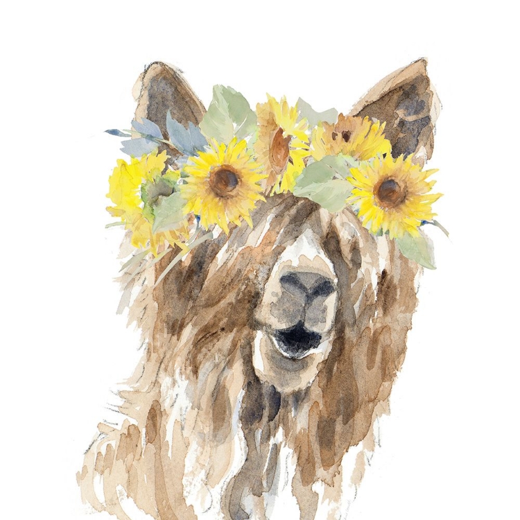 Picture of SUNFLOWER LLAMA II