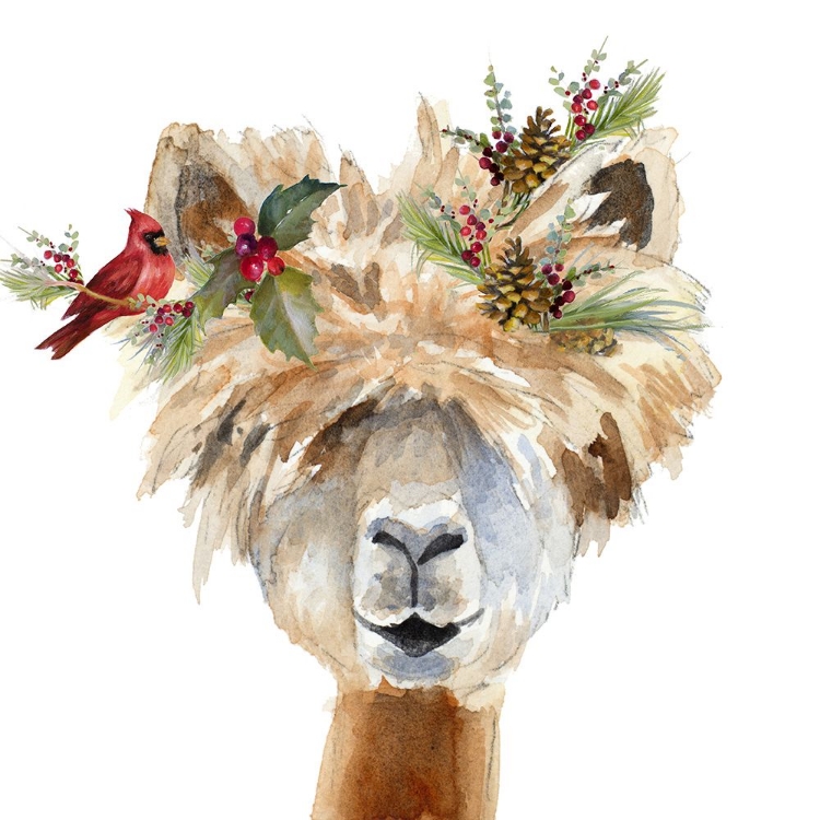 Picture of DECKED OUT LLAMA III