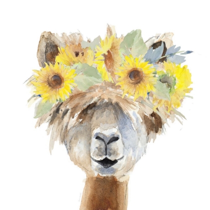 Picture of SUNFLOWER LLAMA  III