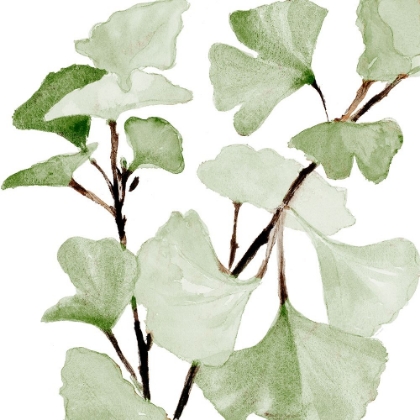 Picture of MINT GINKGO STEMS I