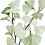 Picture of MINT GINKGO STEMS I