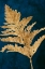 Picture of GOLD LEAVES ON NAVY I