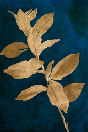 Picture of GOLD LEAVES ON NAVY IV