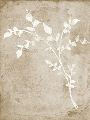 Picture of RUSTIC FLORAL I