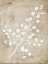 Picture of RUSTIC FLORAL II