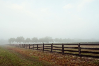 Picture of HUMID DAYS