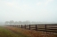Picture of HUMID DAYS