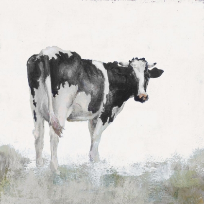 Picture of POSING COW