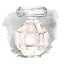 Picture of PERFUME BOTTLE WITH WATERCOLOR II