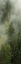 Picture of SMOKY FOREST PANEL I