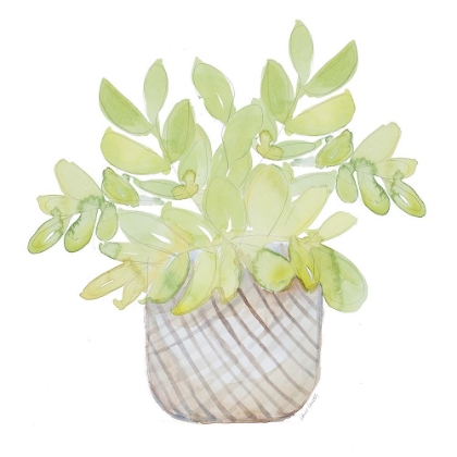Picture of POTTED PLANT I