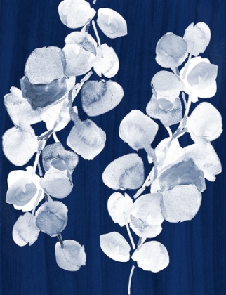 Picture of EUCALYPTUS LEAVES ON NAVY