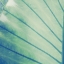 Picture of VINTAGE PALM LEAF II