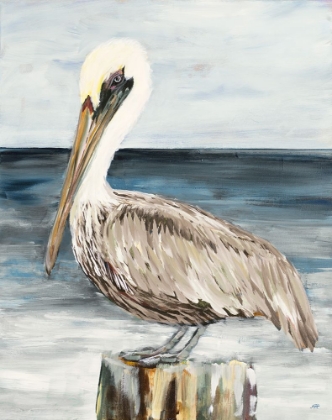 Picture of MUTED PERCHED PELICAN