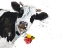 Picture of CRAZY COW