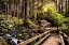 Picture of NATURE TRAILS