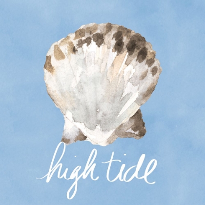 Picture of HIGH TIDE SHELL