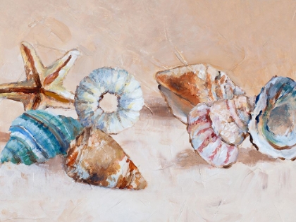 Picture of SHELLS ON THE SHORE RECTANGLE