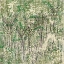 Picture of ASIAN PALMS