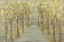 Picture of GOLD FOREST