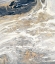 Picture of GOLD AND GRAY OASIS