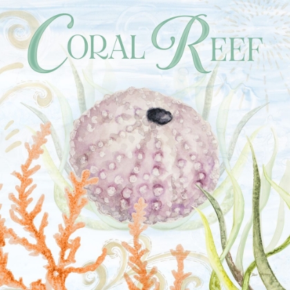 Picture of CORAL REEF