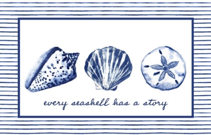 Picture of EVERY SEASHELL HAS A STORY