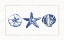 Picture of BLUE OCEAN COLLECTION