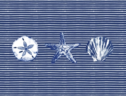 Picture of BLUE STRIPED OCEAN COLLECTION