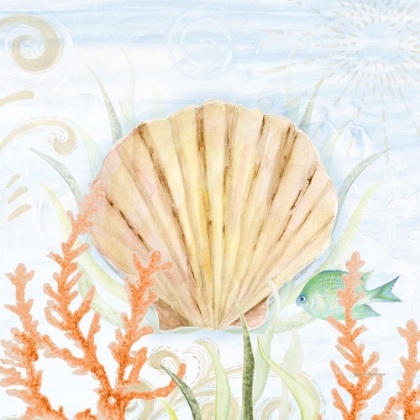 Picture of OCEAN LIFE SHELL