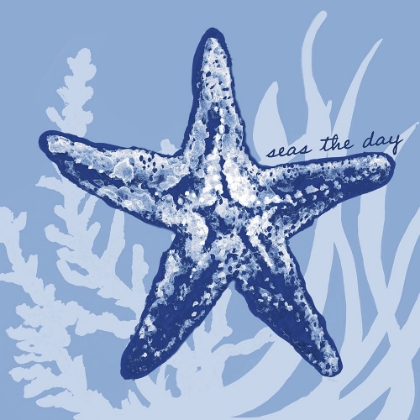 Picture of BLUE ON BLUE STARFISH