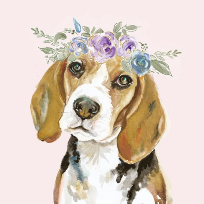 Picture of FLOWER CROWN PET I